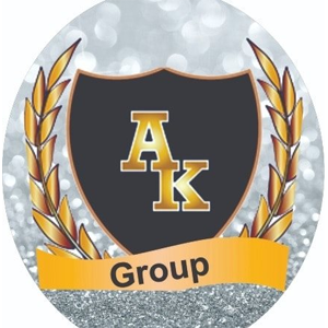 A K Group Of Companies logo