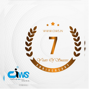 Creative IT Web Solutions Pvt. Ltd. logo