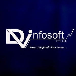 Dv Infosoft Pvt Ltd logo