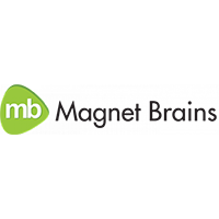 Magnet Brains Software logo