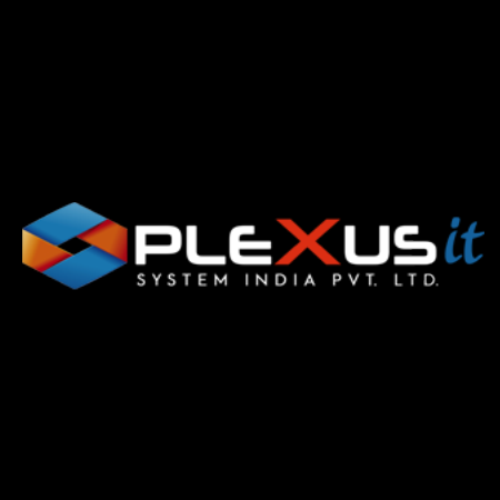 Plexus IT System India Pvt Ltd logo
