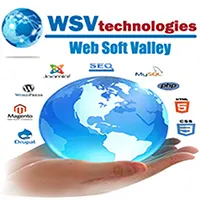 Web Soft Valley logo